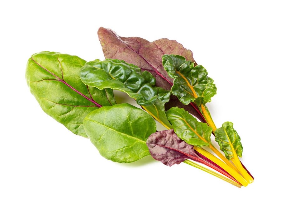 Baby Yellow Chard