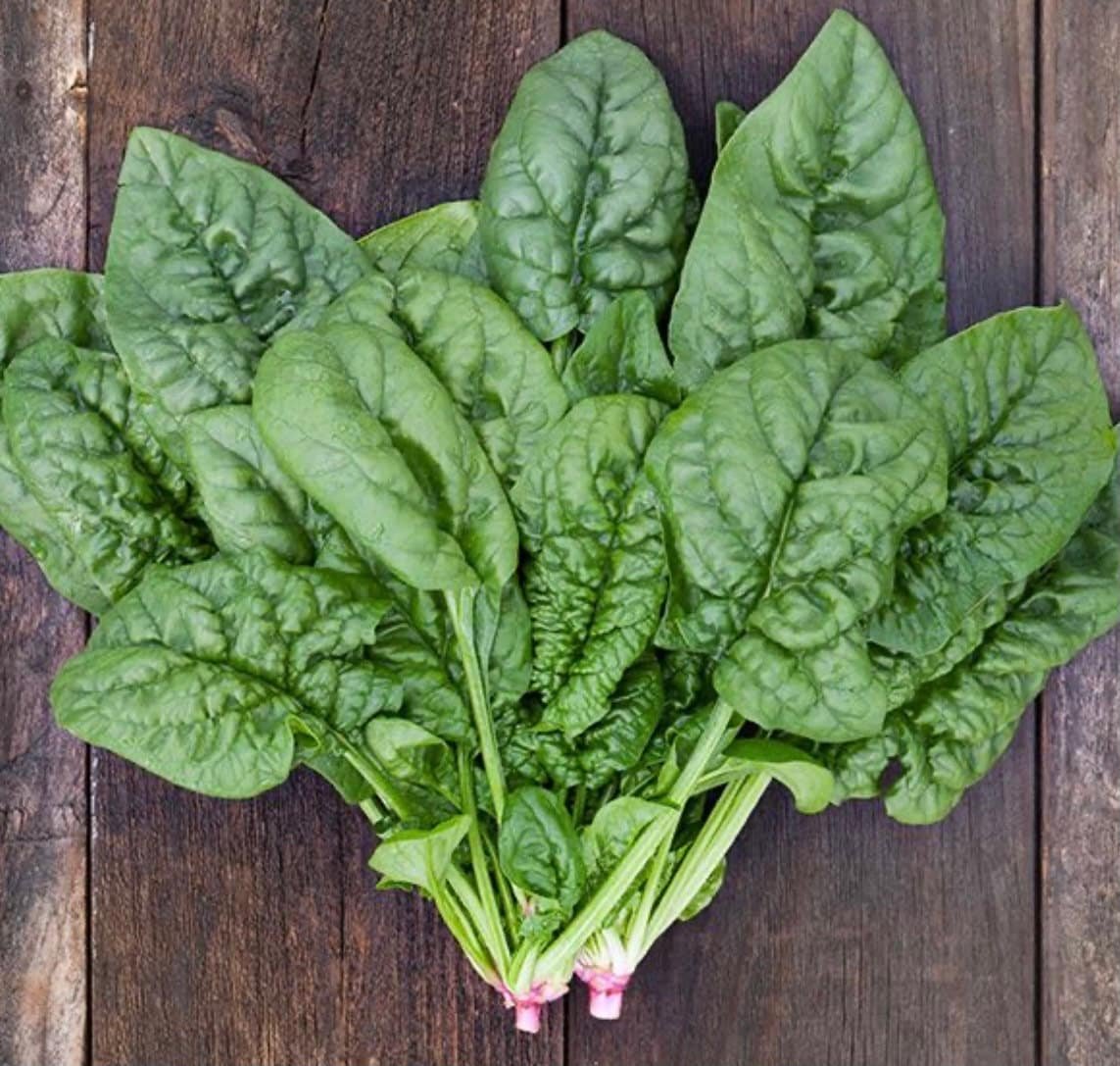 Bloomsdale Spinach