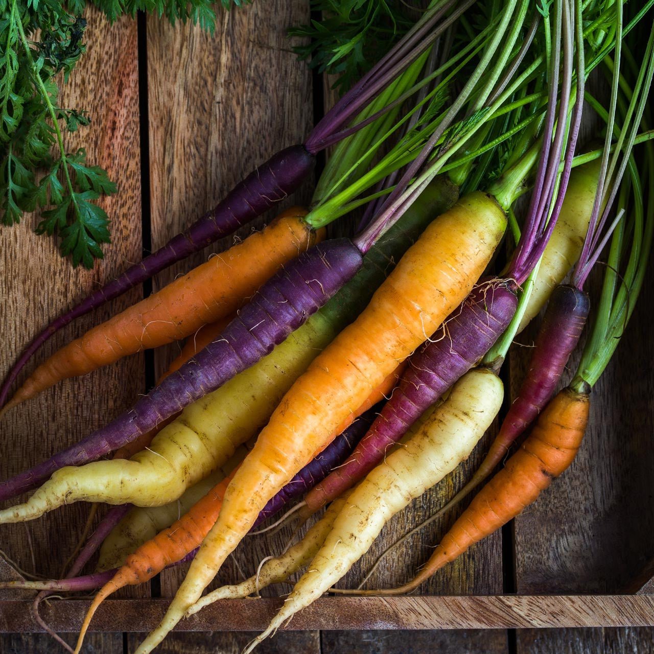 Colored Carrots