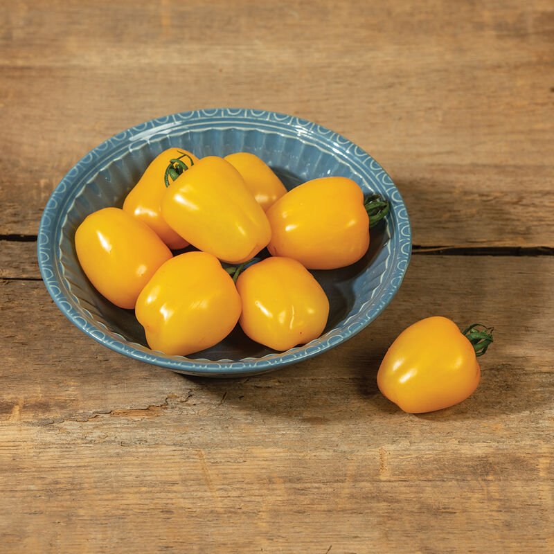 Apple Yellow tomato